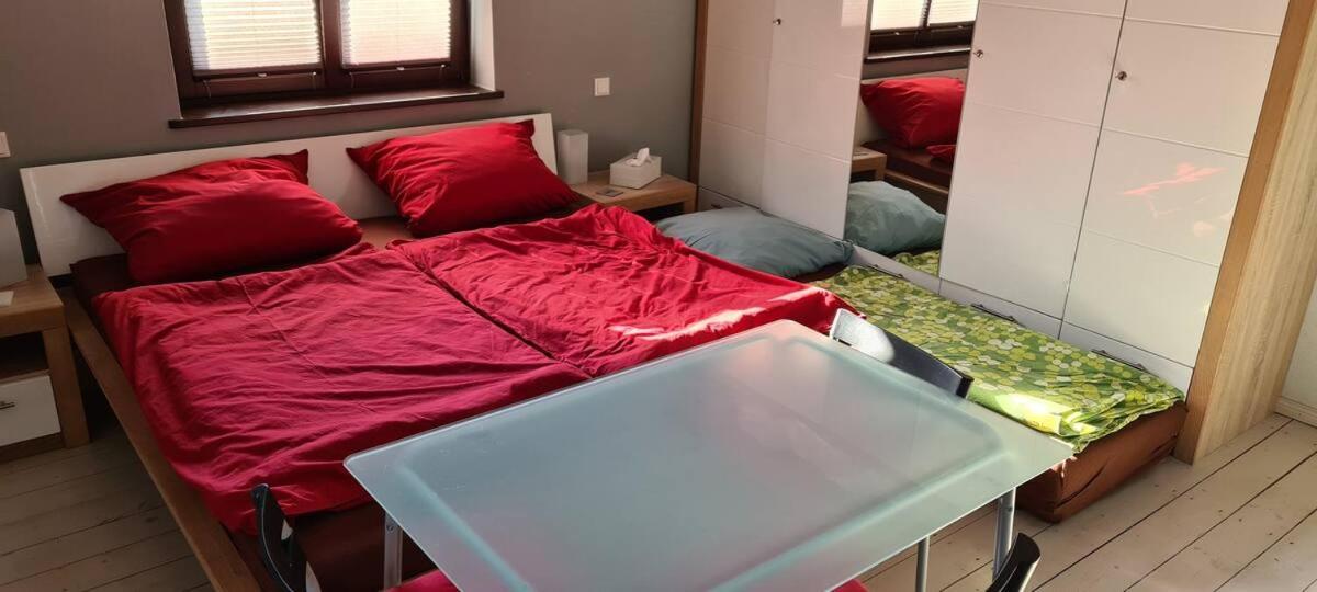 Private Room In Our Home With Free Vvo Ticket & Cats Pirna Exterior photo