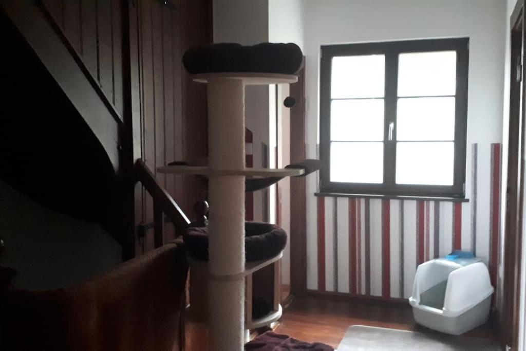 Private Room In Our Home With Free Vvo Ticket & Cats Pirna Exterior photo