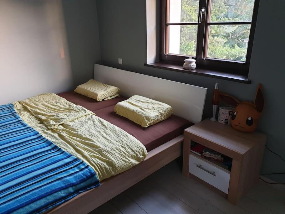 Private Room In Our Home With Free Vvo Ticket & Cats Pirna Exterior photo