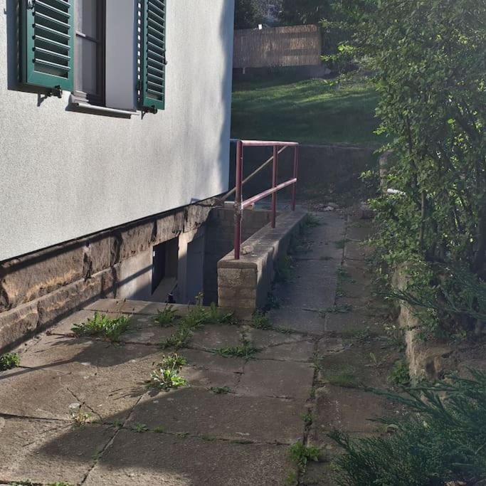 Private Room In Our Home With Free Vvo Ticket & Cats Pirna Exterior photo