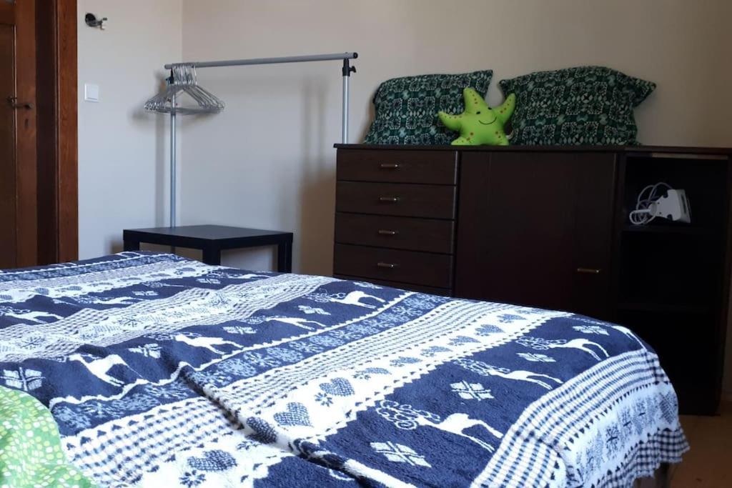 Private Room In Our Home With Free Vvo Ticket & Cats Pirna Exterior photo